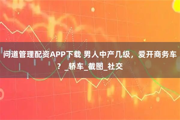 问道管理配资APP下载 男人中产几级，爱开商务车？_轿车_截图_社交