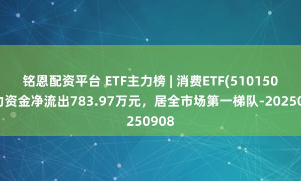 铭恩配资平台 ETF主力榜 | 消费ETF(510150)主力资金净流出783.97万元，居全市场第一梯队-20250908