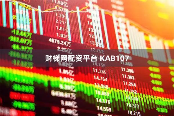 财梯网配资平台 KAB107