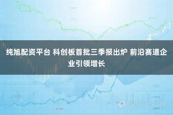 纯旭配资平台 科创板首批三季报出炉 前沿赛道企业引领增长