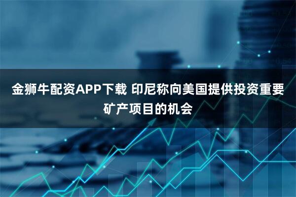 金狮牛配资APP下载 印尼称向美国提供投资重要矿产项目的机会
