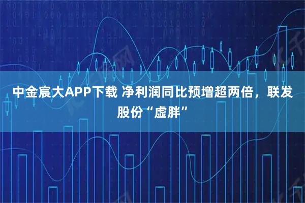 中金宸大APP下载 净利润同比预增超两倍，联发股份“虚胖”
